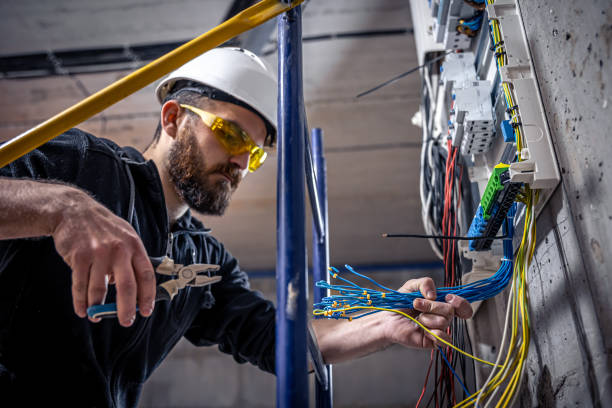 Best Electrician for Home Renovation  in Union Springs, AL